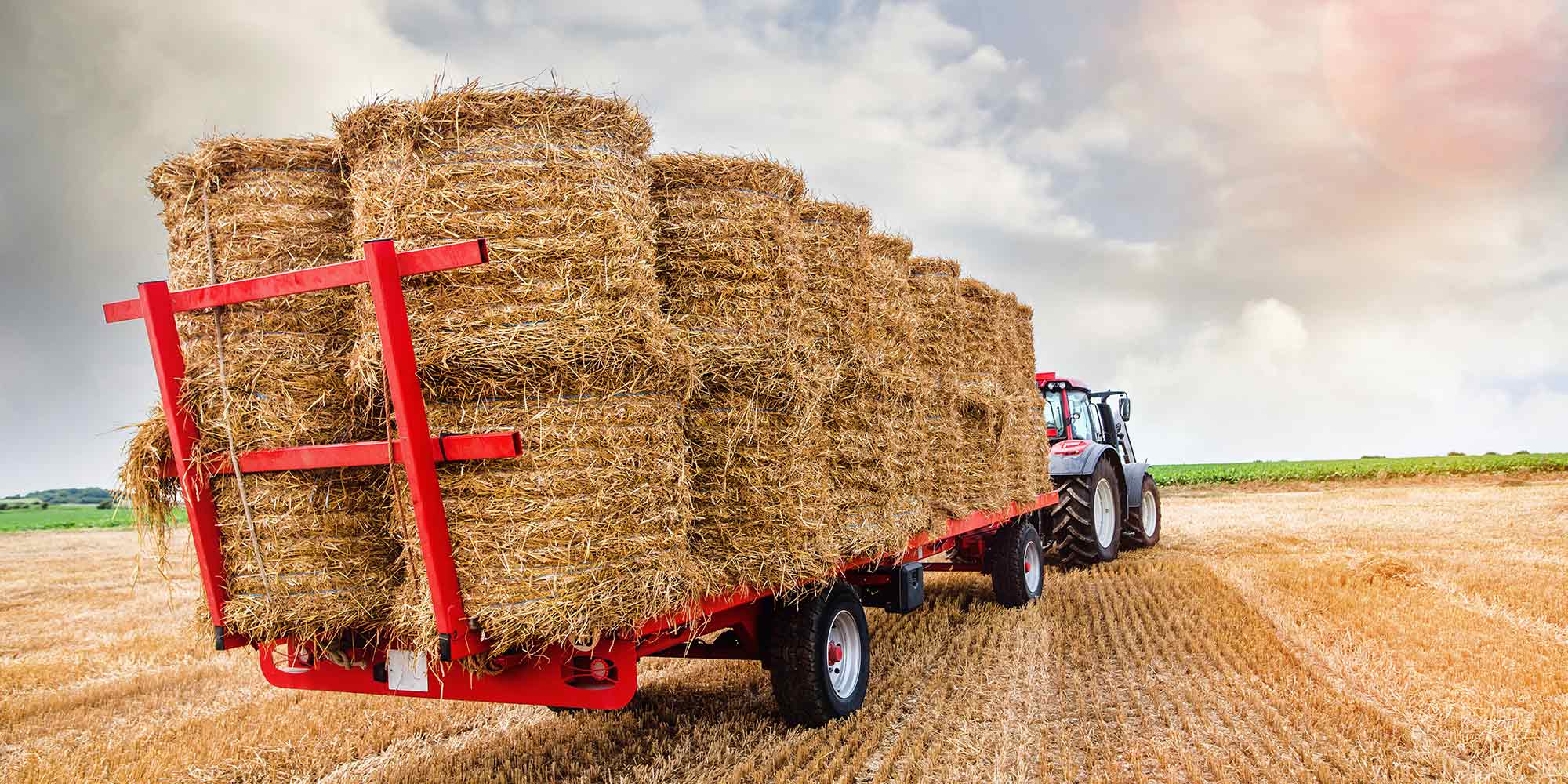 Le Sommet de l’Elevage 2023, LE rendez-vous du monde agricole !